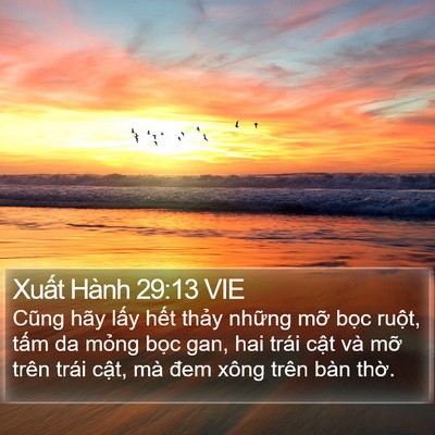 Xuất Hành 29:13 VIE Bible Verse Image