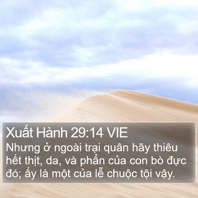 Xuất Hành 29:14 VIE Bible Verse Image