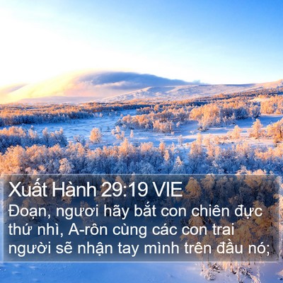 Xuất Hành 29:19 VIE Bible Verse Image