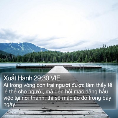 Xuất Hành 29:30 VIE Bible Verse Image