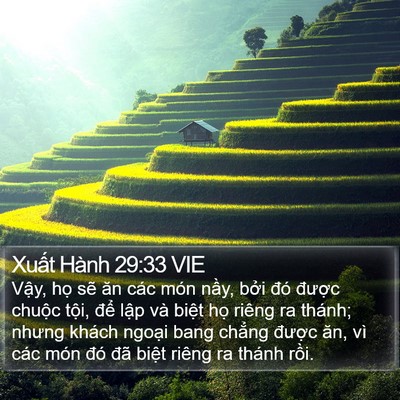 Xuất Hành 29:33 VIE Bible Verse Image