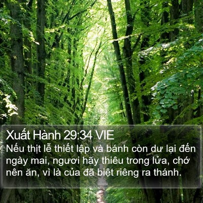 Xuất Hành 29:34 VIE Bible Verse Image