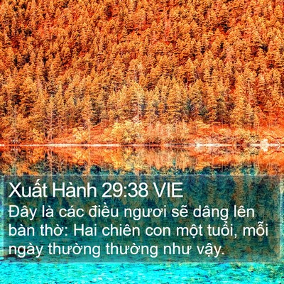 Xuất Hành 29:38 VIE Bible Verse Image
