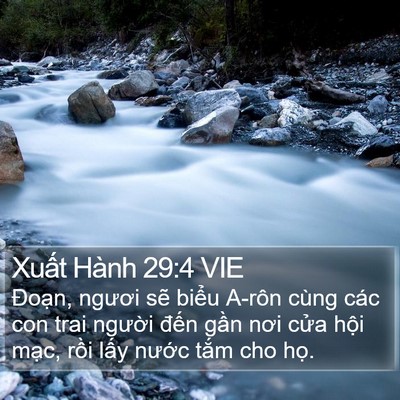 Xuất Hành 29:4 VIE Bible Verse Image