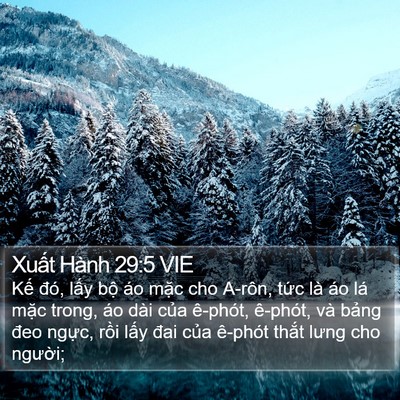 Xuất Hành 29:5 VIE Bible Verse Image
