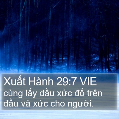 Xuất Hành 29:7 VIE Bible Verse Image