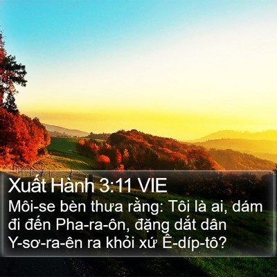 Xuất Hành 3:11 VIE Bible Verse Image