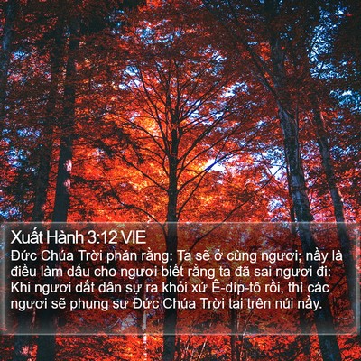 Xuất Hành 3:12 VIE Bible Verse Image
