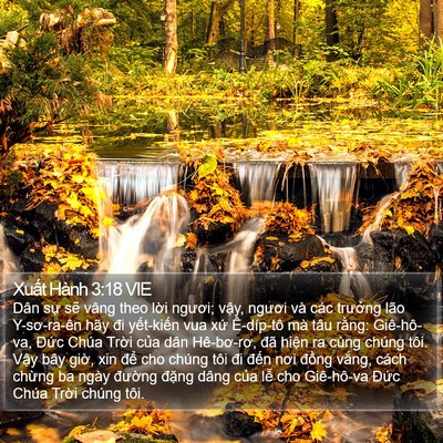 Xuất Hành 3:18 VIE Bible Verse Image