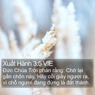 Xuất Hành 3:5 VIE Bible Verse Image