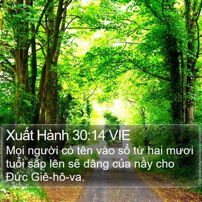 Xuất Hành 30:14 VIE Bible Verse Image