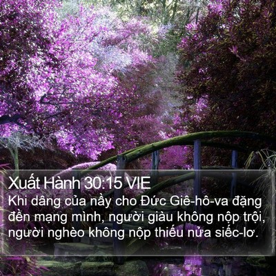 Xuất Hành 30:15 VIE Bible Verse Image