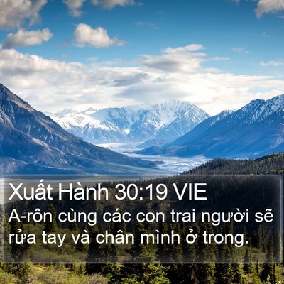 Xuất Hành 30:19 VIE Bible Verse Image