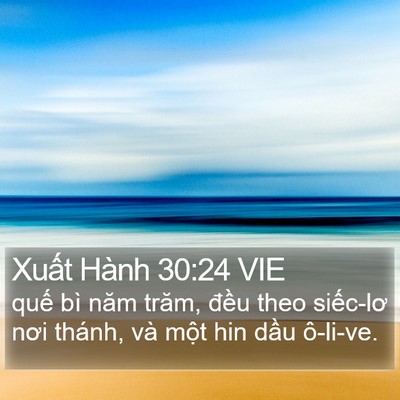 Xuất Hành 30:24 VIE Bible Verse Image