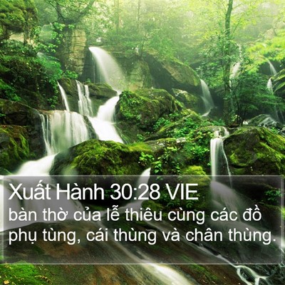 Xuất Hành 30:28 VIE Bible Verse Image