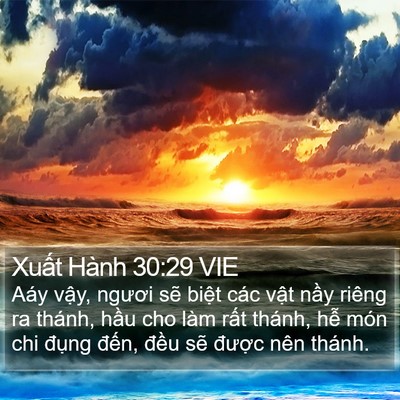 Xuất Hành 30:29 VIE Bible Verse Image