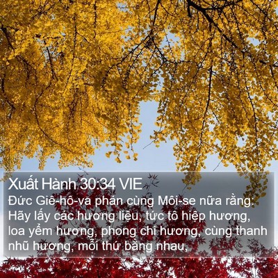 Xuất Hành 30:34 VIE Bible Verse Image