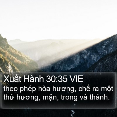 Xuất Hành 30:35 VIE Bible Verse Image