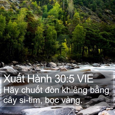 Xuất Hành 30:5 VIE Bible Verse Image