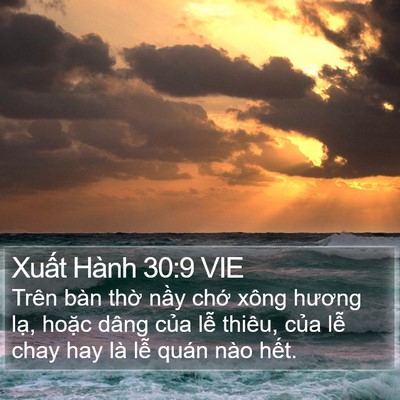 Xuất Hành 30:9 VIE Bible Verse Image