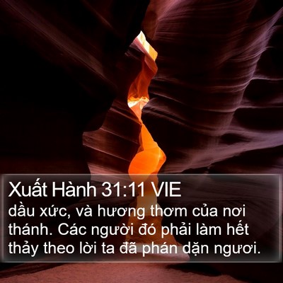 Xuất Hành 31:11 VIE Bible Verse Image