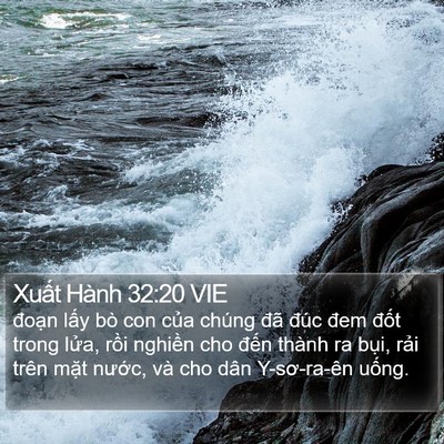 Xuất Hành 32:20 VIE Bible Verse Image