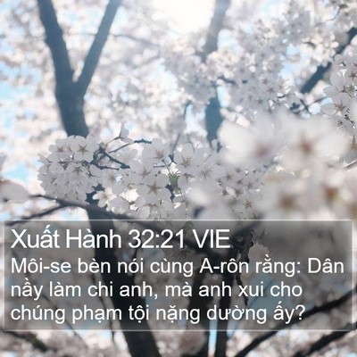 Xuất Hành 32:21 VIE Bible Verse Image