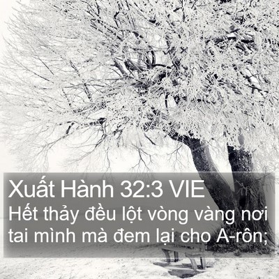 Xuất Hành 32:3 VIE Bible Verse Image