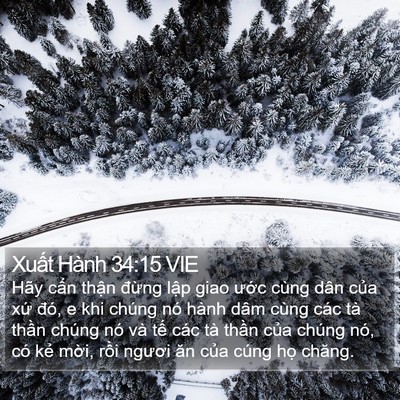Xuất Hành 34:15 VIE Bible Verse Image