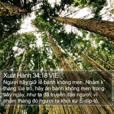 Xuất Hành 34:18 VIE Bible Verse Image