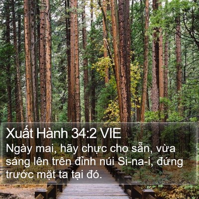Xuất Hành 34:2 VIE Bible Verse Image