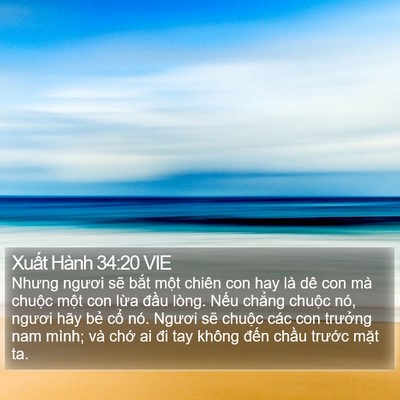 Xuất Hành 34:20 VIE Bible Verse Image