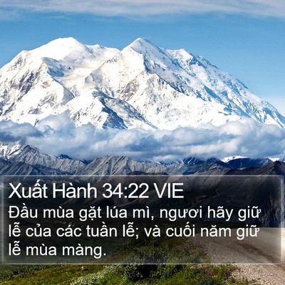 Xuất Hành 34:22 VIE Bible Verse Image