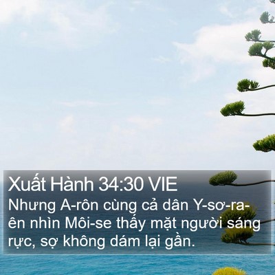Xuất Hành 34:30 VIE Bible Verse Image
