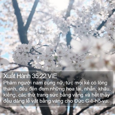 Xuất Hành 35:22 VIE Bible Verse Image
