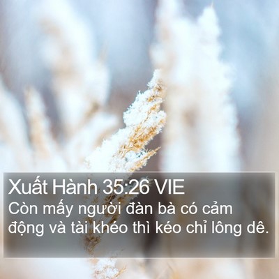 Xuất Hành 35:26 VIE Bible Verse Image