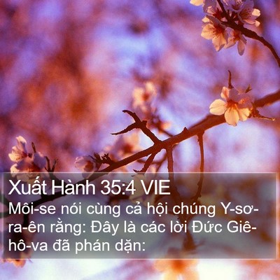 Xuất Hành 35:4 VIE Bible Verse Image