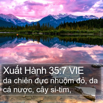 Xuất Hành 35:7 VIE Bible Verse Image