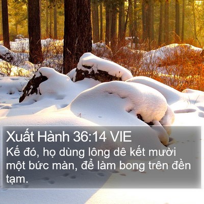 Xuất Hành 36:14 VIE Bible Verse Image