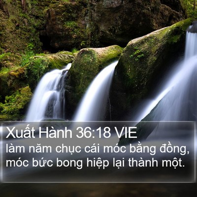 Xuất Hành 36:18 VIE Bible Verse Image