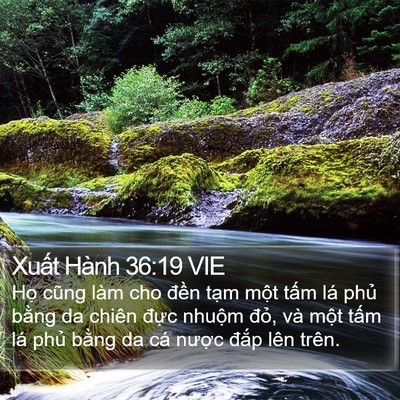 Xuất Hành 36:19 VIE Bible Verse Image