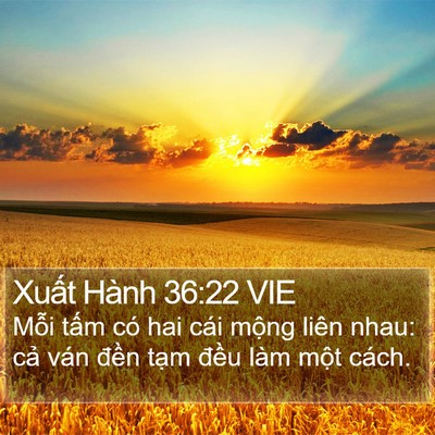 Xuất Hành 36:22 VIE Bible Verse Image