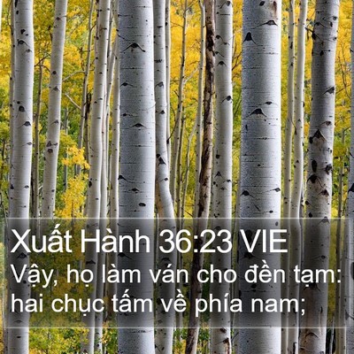 Xuất Hành 36:23 VIE Bible Verse Image