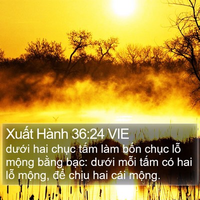 Xuất Hành 36:24 VIE Bible Verse Image