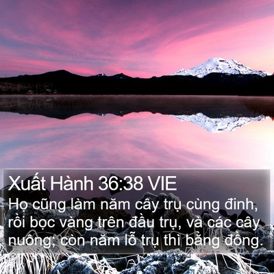 Xuất Hành 36:38 VIE Bible Verse Image