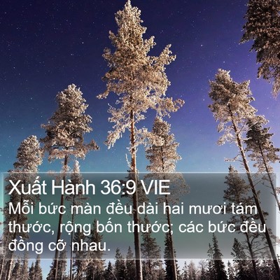 Xuất Hành 36:9 VIE Bible Verse Image