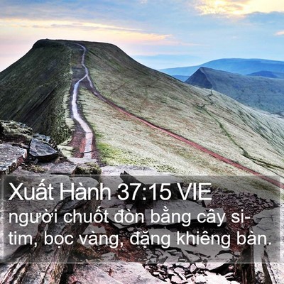 Xuất Hành 37:15 VIE Bible Verse Image
