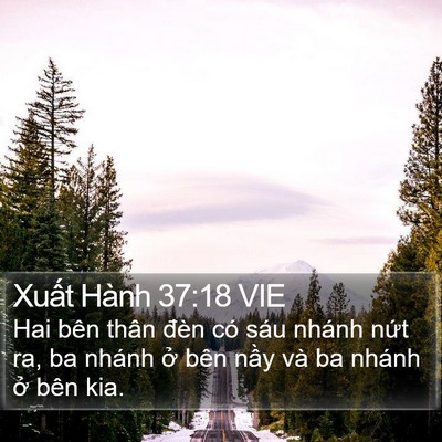 Xuất Hành 37:18 VIE Bible Verse Image