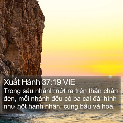 Xuất Hành 37:19 VIE Bible Verse Image