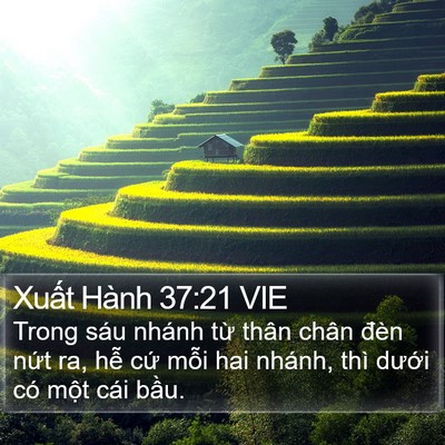 Xuất Hành 37:21 VIE Bible Verse Image